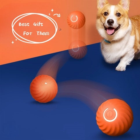 Pet Dog Rubber Ball Toy